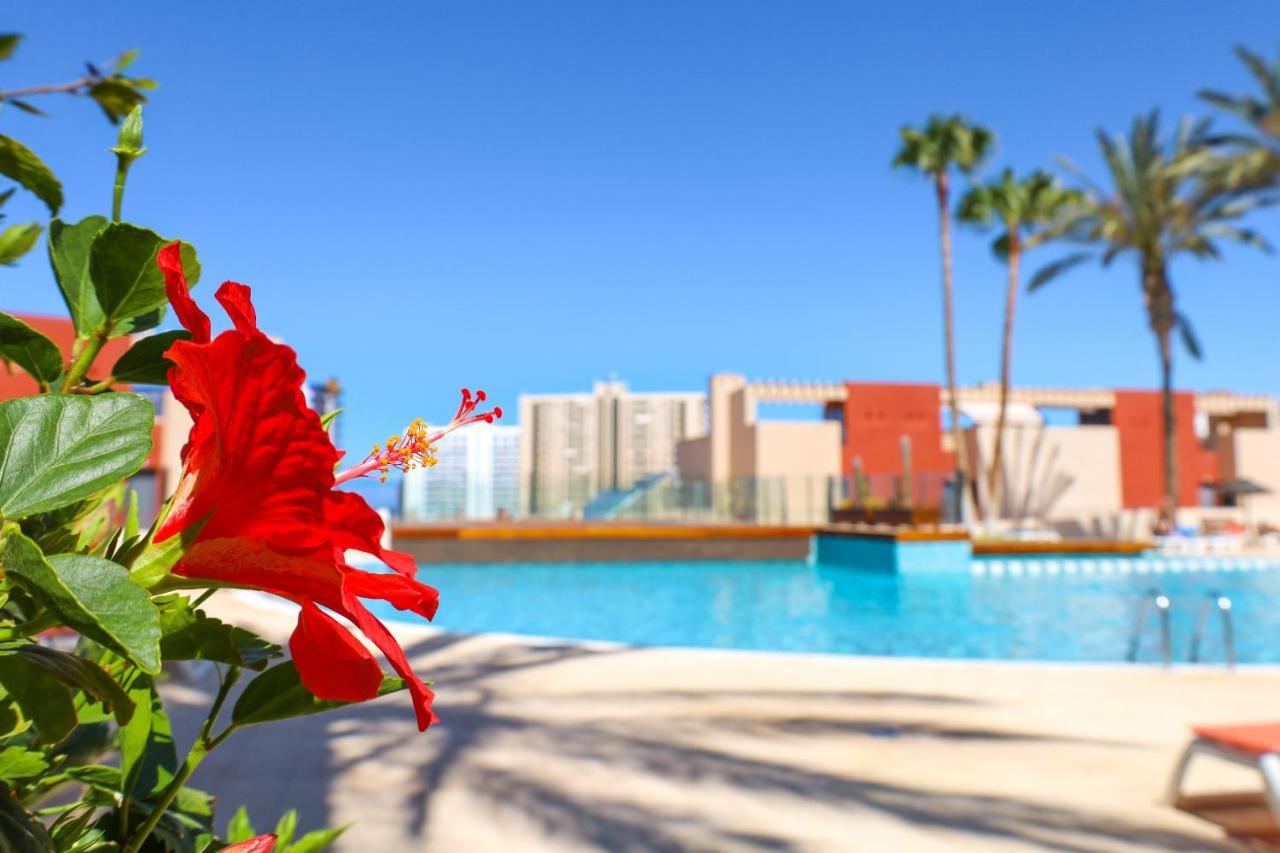 Gorgeous Paraiso Free Wifi Playa Paraiso  Ngoại thất bức ảnh